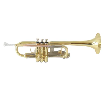 Professional High Quality C Tone Brass Body Gold Lacquered Trumpet with Shell Inlay Premium Instrument
