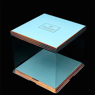 Transparent Plastic Cake Boxes 6/8/10/12 Inch Single/Double Layer Recyclable PET 0.3mm Rectangle Custom Logo/Graphic Design