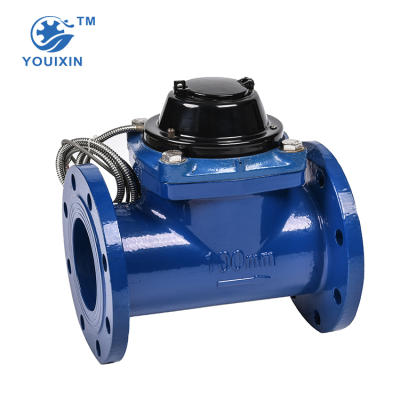 Electric Reading Waltman Reading Water Meter