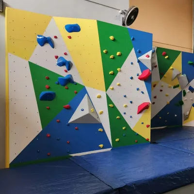 Professional Rock Climbing Wall Project CE Certified Fiberglass Boulder Wall & Auto Belay System for Adventure Park