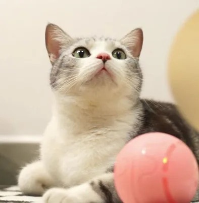 Smart Remote Control Pet Toy Ball with LED Lights, USB Rechargeable, Bite-Resistant, for Dogs and Cats Interactive Play