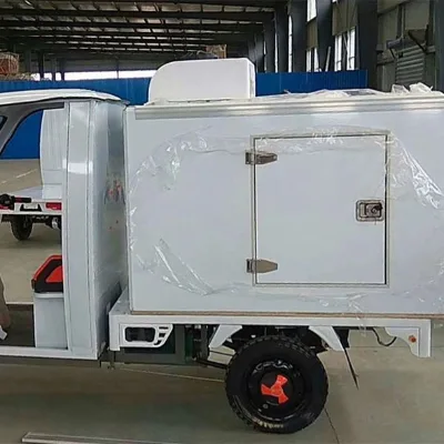 Refrigerator Box Tricycle Frozen Box Tricycle for Sale