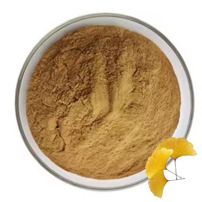 High Quality Ginkgo Biloba Extract 10:1 Ginkgo Biloba Extract Powder