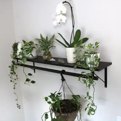 Wall Mounted Rustic Wood Shelf Indoor Plant Display Floating Shelf for Planters & Decor Farmhouse Wall Organizer
