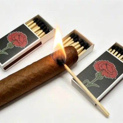 Two Tone Printed Rectangular Pack Matches for Bar Club Client Gifts Cigar Whiskey Hamper Custom Matches