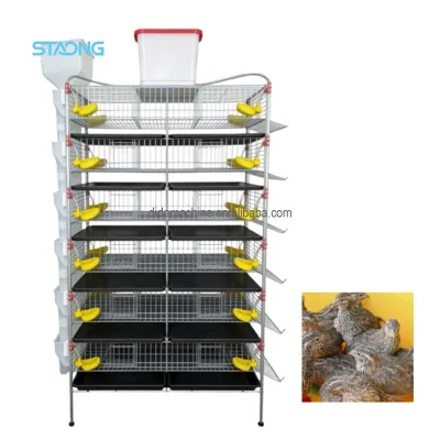 Heavy Duty 5 Layer Quail Housing with Automatic Drinking Feeding System for Commercial Farms