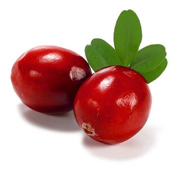 Bulk Wholesale Manufacturer's Organic Healthy Red Nature Sweet Frozen Cranberry