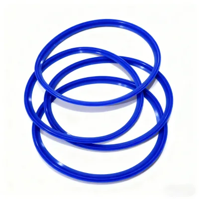 Autoclave Accessories Autoclave Silicon Door Gasket Seal with Cheap Price