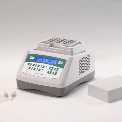 Biological Indicator Incubator Thermo Incubators Dry Bath Incubator
