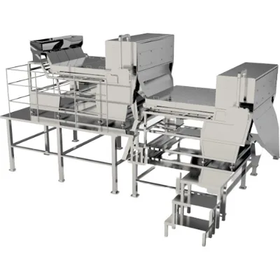 KFS Series Sorting Cashew Color Sorter