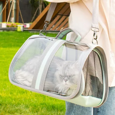 Transparent Mesh Pet Carrier Tote Sling Bag for Cat Dog Breathable Outdoor Travel with Zipper Closure Comfortable Shoulder Bag