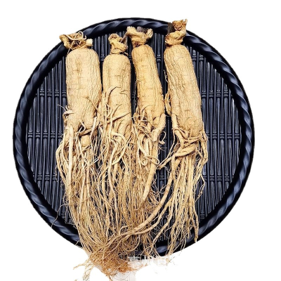 Darwin Supply NOP EU Certified Organic Fresh Ginseng Root China