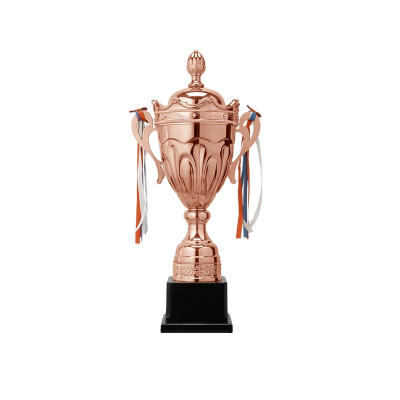 Hot Sale Medal Manufacturer Sports Trophy Award Plaques