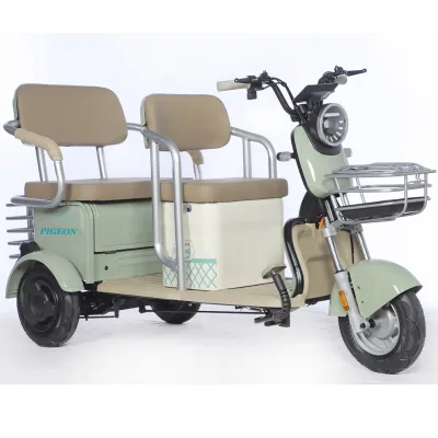 Passenger & Cargo Electric Tricycle with Folding Seat(FP-C6-4)