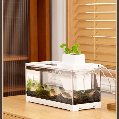 Small Desktop Fish Tank With Circulating Water, Suitable for Betta Fish and Guppy Fish, With a Quiet Filter and a Light.