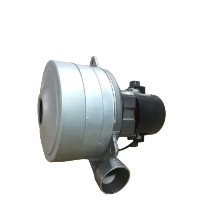 XWHTH9538 Micro Dc Motor 24V/36V Dc Motor for Vaccum Cleaner