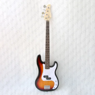 Electric Guitar and Bass Kit for Beginner and Intermediate Players