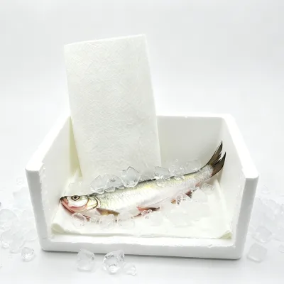 Leakproof Seafood Meat Absorbent Pads Anti-Humidity Buffer for Fresh Meat & Seafood Food Packaging