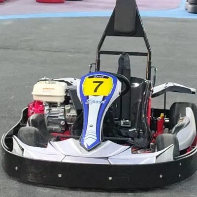 Modern Style Wheeled Motorcycle Electric Cart High Carbon Steel Off Road Street Legal Go Kart for Sale