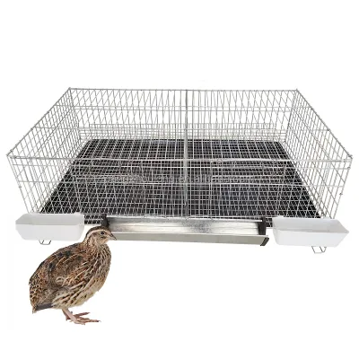 ZZ LMC17 Metal Foldable Live Poultry Feeder Drinker Poop Automatic Quail Cages for Egg Production