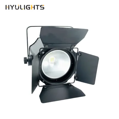 200W COB LED Par Light with Barn Doors DMX512 Strobe Warm & Cold White DJ Wash Beam Effect Stage Lighting