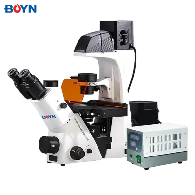 BNBDS500 Inverted Fluorescence Biological Microscope Infinity-Corrected Optical System 40x-400x Magnification for Laboratory Use