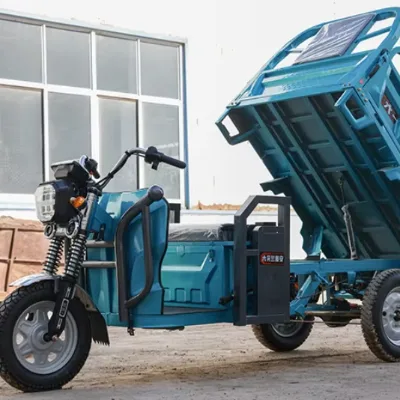 Wholesale 850W-1000W Electric Cargo Tricycle 60V 3-Wheel Bike for Adults with Aluminum Frame 3-Speed Open Body