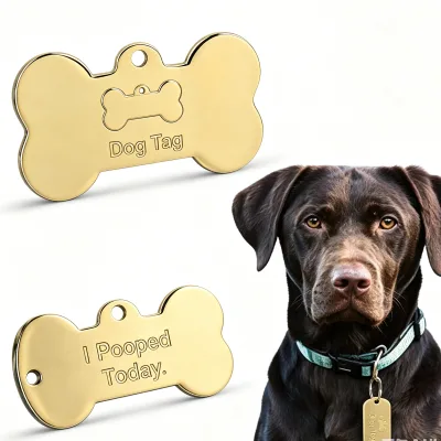 OEM Factory Custom Metal Charm Tag with Hole for Dog Pets Name Label