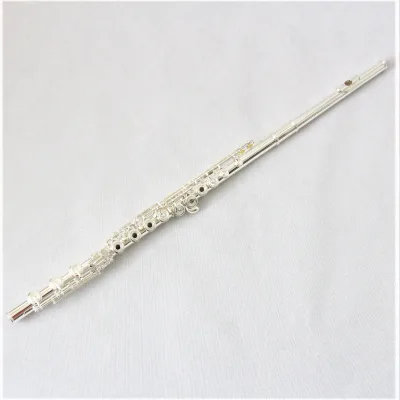 Chinese FFL-500S Silver Cupronickel Flute with OEM Fluata Music Instrument Instrument Case and Flute Bag