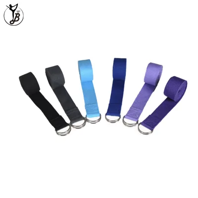 BYT 2025 Eight Colors Double D-ring Stretch Out Straps Polyester Yoga Strap Use for Fitness Yoga Strap