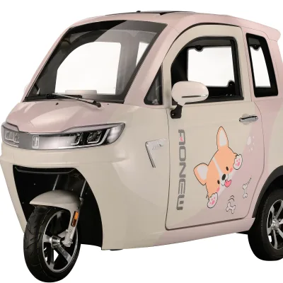 Electric Bike 3 Wheels Tricycles With Roof