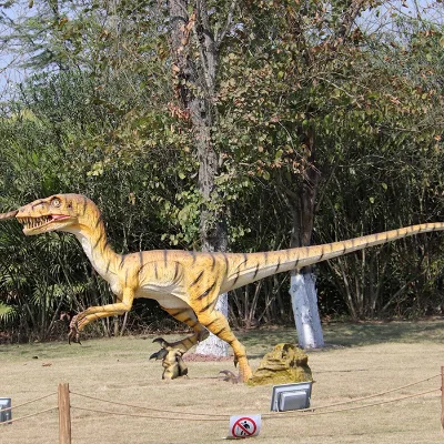 Animatronic Raptor Dinosaur Life-Size Model for Museum Exhibition School Education Kids Entertainment Tourist Attraction Indoor