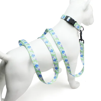 Luxury Dog Collar Leash Set Durable Nylon with Quick Release Feature Soft Padded for Outdoor and Traveling Pets