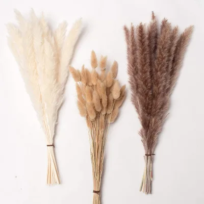 Dried Pampas Grass Decor Natural Pompas Floral Dried Pompous Grass Boho Plant for Flower Arrangements Wedding Home Decor