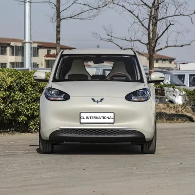 New Energy Sedan, SAIC-GM-Wuling Wuling Bingo, 2025 Model 203km Light Enjoyment Edition