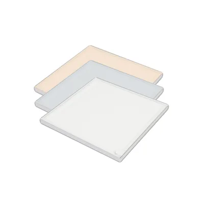 LED Edge Lit Light Panel Lumisheet Even Illumination Customized Backlighting Applications Flexible Mounting Light Panel