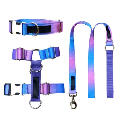 Factory Made Dog Harness Set Multicolor High Density Lifetime Durability Strong Leash D Ring Private Design for Daily Use