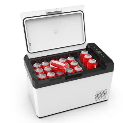 High Quality Table Top Freezer for Boat 12V 220V Car Fridge Freezer Custom 25L Cooler Box