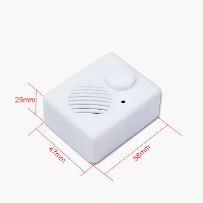 Recordable Sound Module Device for Toys