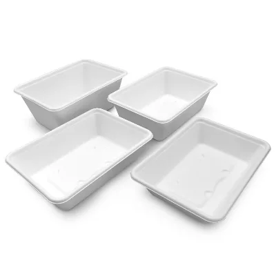 Best Price Bagasse Fast Food Box Container Clamshell Packaging Bagasse Food Box to Go Lunch