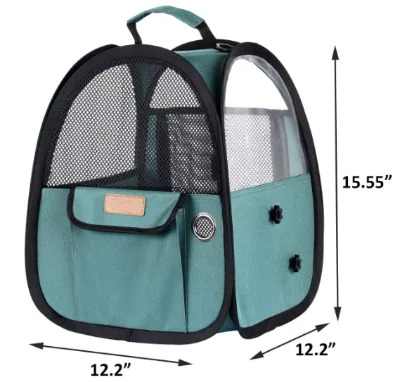 Pet Transparent Lightweight Foldable Birds Carrier Travel Cage