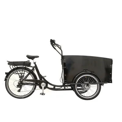 New Style for EU and US Market Electric Cargo Bike 3 Wheel Tricycle