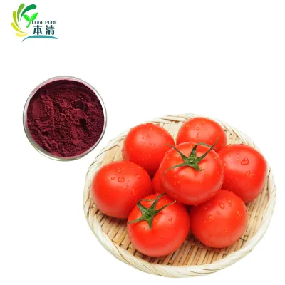 Supply Pure Tomato Extract Lycopene Powder 5% 10%  Lycopene