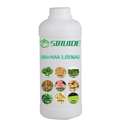 Iba Naa Hormones for Faster Root Development and Healthier Plants