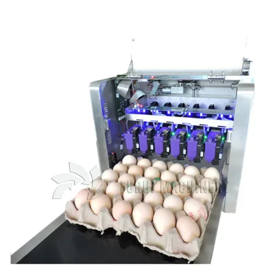 Best Quality Automatic Egg Printing Machine,egg Carton Printing Machine