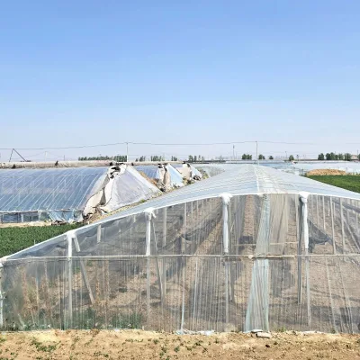 Greenhouse PE Film UV Resistant 200 Micron Agricultural Polyethylene Sheeting Roll Tunnel Cover Farm Nursery Wholesale