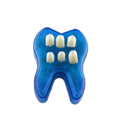 Dental Front Teeth and Back Teeth Temporary Crown
