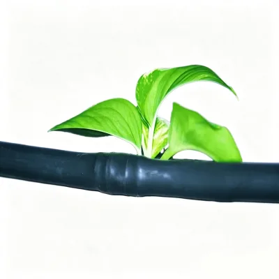 DaringFish High Quality Sancak Drip Tape PE Pipes Agricultural Irrigation Fittings (17mm) Black Cylinder Box Packaging