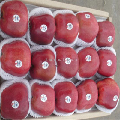 2015 Fresh apple Fruit-Tianshui Huaniu apple