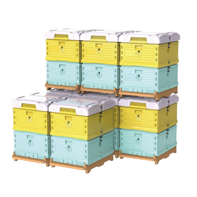 Plastic Beekeeping Hive Honey Bee Box Beehive for Bees
